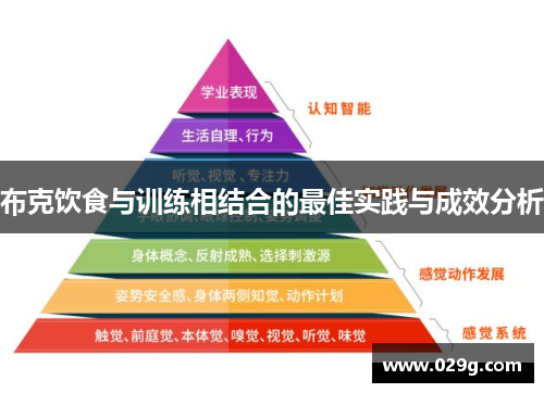 布克饮食与训练相结合的最佳实践与成效分析